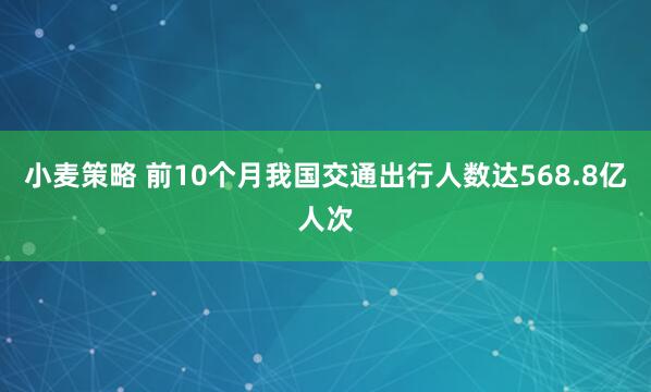 小麦策略 前10个月我国交通出行人数达568.8亿人次
